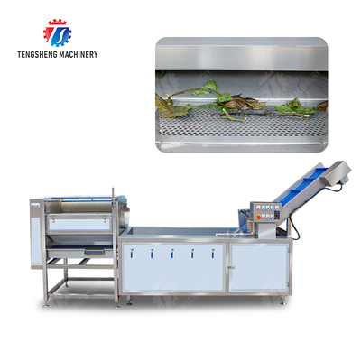 Citrus cleaning production line Fruit Orange Wash Washer Washing Cleaning Dryer processing production Machine