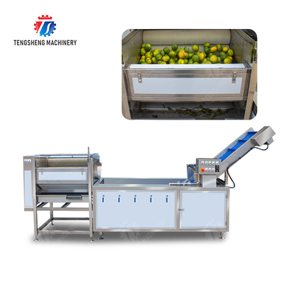 Citrus cleaning production line Fruit Orange Wash Washer Washing Cleaning Dryer processing production Machine