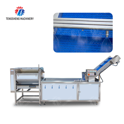 Citrus cleaning production line Fruit Orange Wash Washer Washing Cleaning Dryer processing production Machine