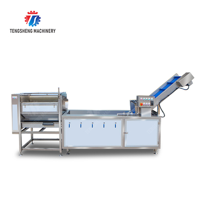 Citrus cleaning production line Fruit Orange Wash Washer Washing Cleaning Dryer processing production Machine