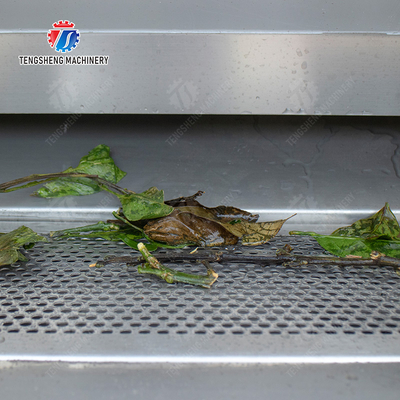Citrus cleaning production line Fruit Orange Wash Washer Washing Cleaning Dryer processing production Machine