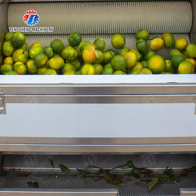 Citrus cleaning production line Fruit Orange Wash Washer Washing Cleaning Dryer processing production Machine