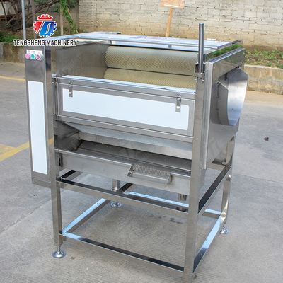Citrus cleaning production line Fruit Orange Wash Washer Washing Cleaning Dryer processing production Machine
