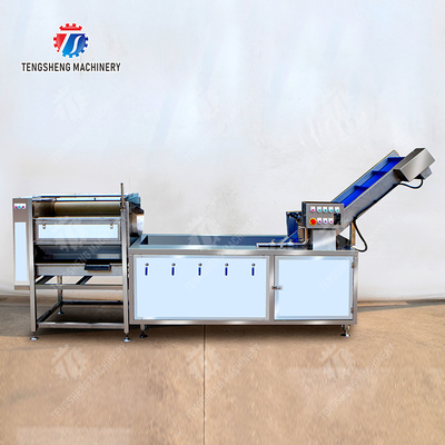 Citrus cleaning production line Fruit Orange Wash Washer Washing Cleaning Dryer processing production Machine