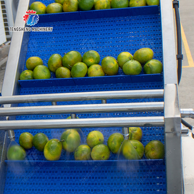 Citrus cleaning production line Fruit Orange Wash Washer Washing Cleaning Dryer processing production Machine