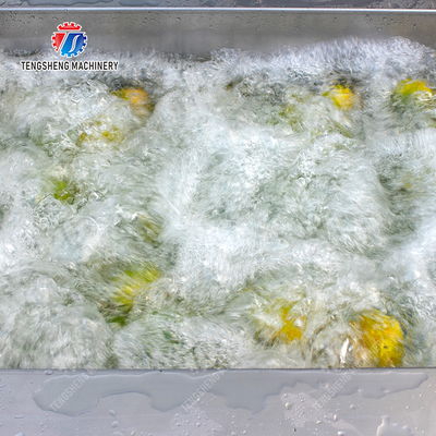 Citrus cleaning production line Fruit Orange Wash Washer Washing Cleaning Dryer processing production Machine