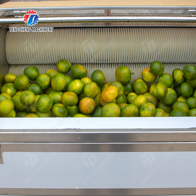 Citrus cleaning production line Fruit Orange Wash Washer Washing Cleaning Dryer processing production Machine