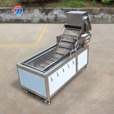 Bubble Vegetable Washing Machine Fruit Orange Vegetable Leaves Vegetables Herbs production Destoning Wash Washer Washing Cleaning