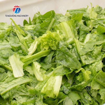 Bubble Vegetable Washing Machine Fruit Orange Vegetable Leaves Vegetables Herbs production Destoning Wash Washer Washing Cleaning