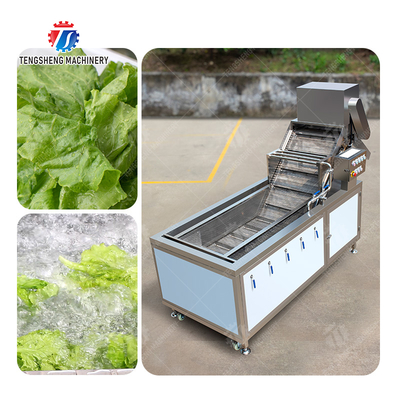 Bubble Vegetable Washing Machine Fruit Orange Vegetable Leaves Vegetables Herbs production Destoning Wash Washer Washing Cleaning