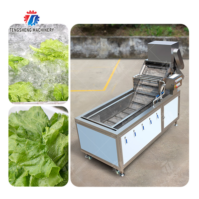 Bubble Vegetable Washing Machine Fruit Orange Vegetable Leaves Vegetables Herbs production Destoning Wash Washer Washing Cleaning