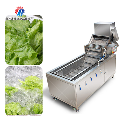 Bubble Vegetable Washing Machine Fruit Orange Vegetable Leaves Vegetables Herbs production Destoning Wash Washer Washing Cleaning