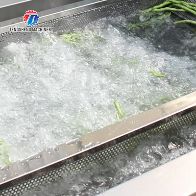 Bubble Vegetable Washing Machine Fruit Orange Vegetable Leaves Vegetables Herbs production Destoning Wash Washer Washing Cleaning