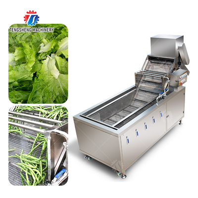 Bubble Vegetable Washing Machine Fruit Orange Vegetable Leaves Vegetables Herbs production Destoning Wash Washer Washing Cleaning