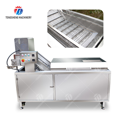 soybeans CORN Blanching machine sward beans  soybeans  green beans  chickpeas beans  red beans  mung beans  green peas beans canning Potato Wash Washer processing production starch French fries