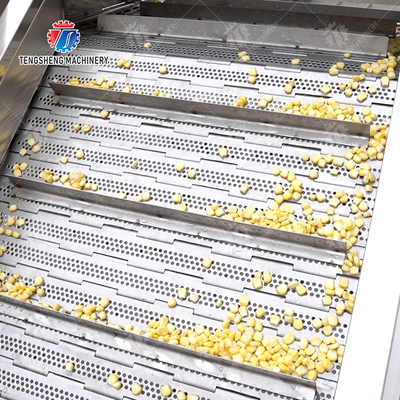 soybeans CORN Blanching machine sward beans  soybeans  green beans  chickpeas beans  red beans  mung beans  green peas beans canning Potato Wash Washer processing production starch French fries