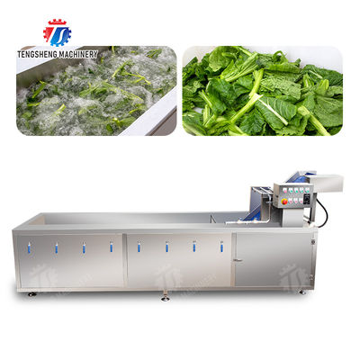1500KG/H Fruit Vegetable Washing Machine With Stainless Steel Material