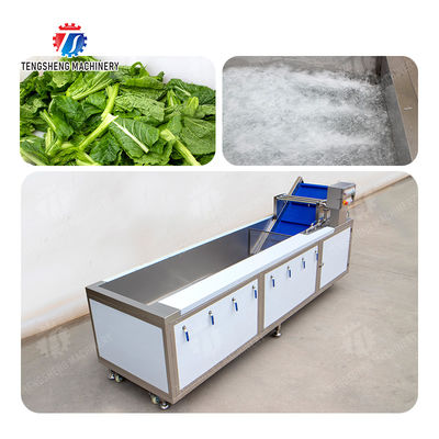 High Efficiency Fruits And Vegetables Washer For Dandelions Coriander