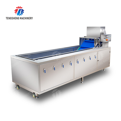 Year 2025 Fruit And Vegetable Processing Machine The Ultimate Solution for Your Production