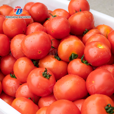 Year 2025 Fruit And Vegetable Processing Machine The Ultimate Solution for Your Production