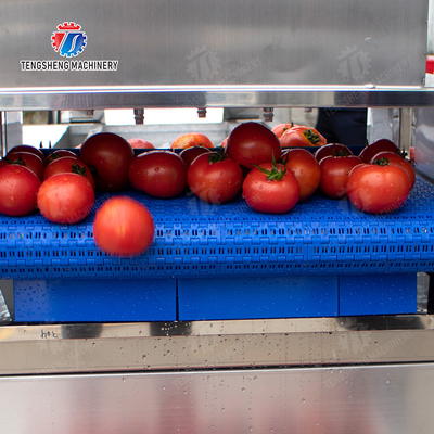 Year 2025 Fruit And Vegetable Processing Machine The Ultimate Solution for Your Production