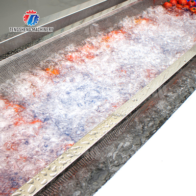 Year 2025 Fruit And Vegetable Processing Machine The Ultimate Solution for Your Production