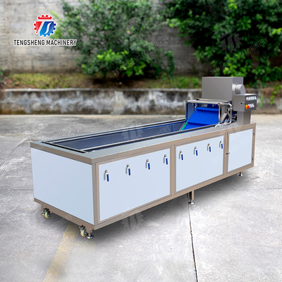 Year 2025 Fruit And Vegetable Processing Machine The Ultimate Solution for Your Production