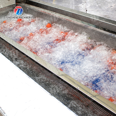 Year 2025 Fruit And Vegetable Processing Machine The Ultimate Solution for Your Production