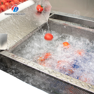 Year 2025 Fruit And Vegetable Processing Machine The Ultimate Solution for Your Production