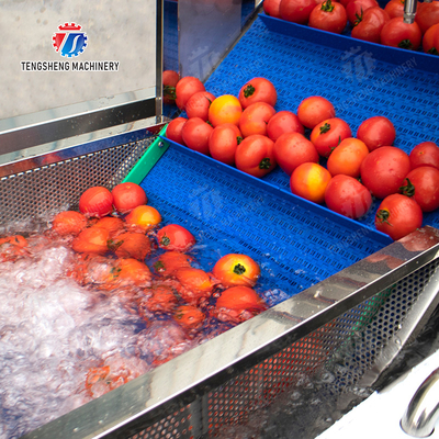 Year 2025 Fruit And Vegetable Processing Machine The Ultimate Solution for Your Production