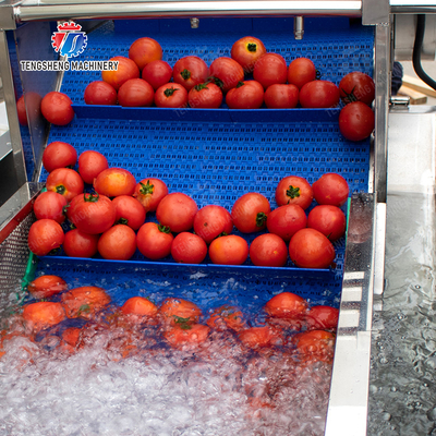 Year 2025 Fruit And Vegetable Processing Machine The Ultimate Solution for Your Production