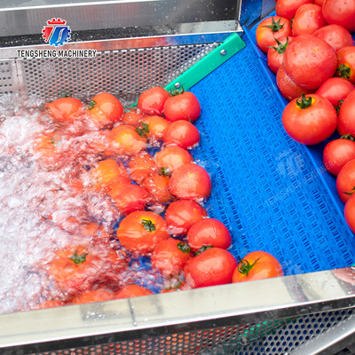 Year 2025 Fruit And Vegetable Processing Machine The Ultimate Solution for Your Production