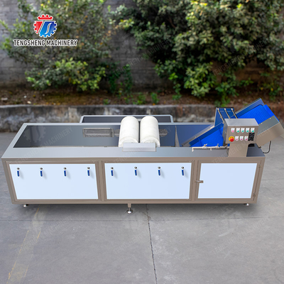 Maximize Your X Output with Our Final Product Fruit And Vegetable Processing Line