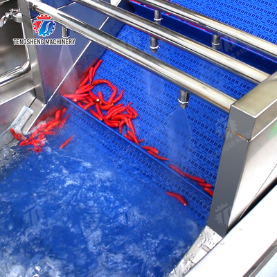 Maximize Your X Output with Our Final Product Fruit And Vegetable Processing Line