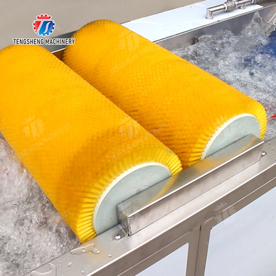 Maximize Your X Output with Our Final Product Fruit And Vegetable Processing Line