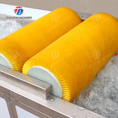 Maximize Your X Output with Our Final Product Fruit And Vegetable Processing Line