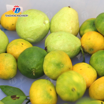 Maximize Your X Output with Our Final Product Fruit And Vegetable Processing Line
