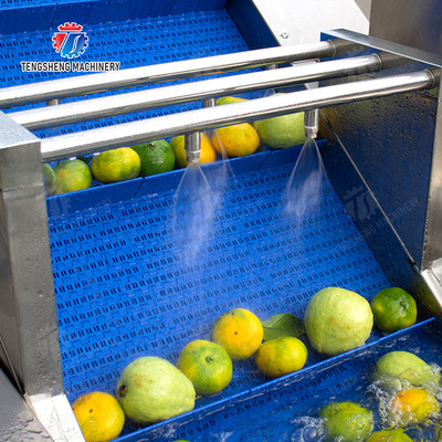 Maximize Your X Output with Our Final Product Fruit And Vegetable Processing Line