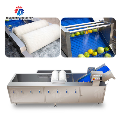 Maximize Your X Output with Our Final Product Fruit And Vegetable Processing Line