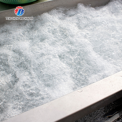 Maximize Your X Output with Our Final Product Fruit And Vegetable Processing Line