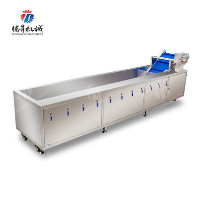 Processing Fruit And Vegetable Processing Line for Design and Production of Silver Products