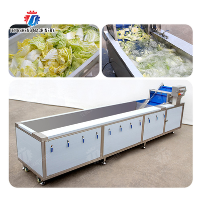 Processing Fruit And Vegetable Processing Line for Design and Production of Silver Products