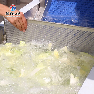 Processing Fruit And Vegetable Processing Line for Design and Production of Silver Products