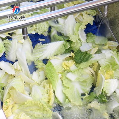 Processing Fruit And Vegetable Processing Line for Design and Production of Silver Products