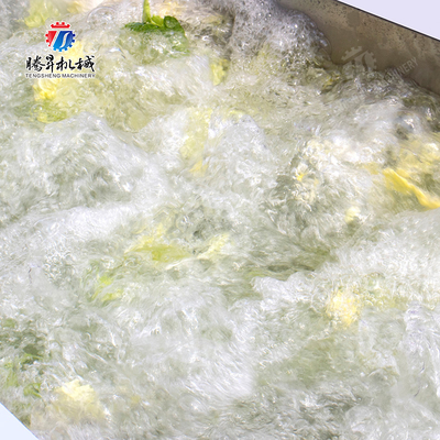 Processing Fruit And Vegetable Processing Line for Design and Production of Silver Products