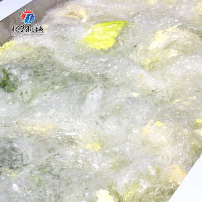 Processing Fruit And Vegetable Processing Line for Design and Production of Silver Products