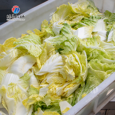 Processing Fruit And Vegetable Processing Line for Design and Production of Silver Products