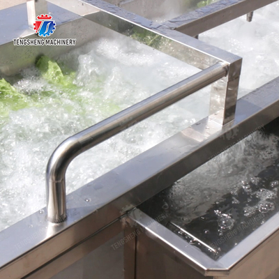 Wash Washer Washing Cleaning Fruit Orange Leaves Vegetables sward beans  soybeans  green beans  chickpeas beans  red beans  mung beans  Vegetables bubble washing processing production machine