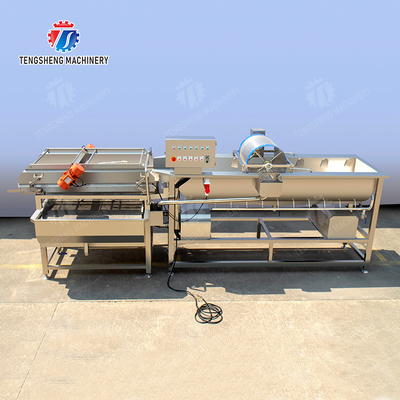 Year 2025 Fruit And Vegetable Packaging Machine for Market