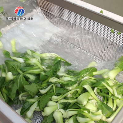 Year 2025 Fruit And Vegetable Packaging Machine for Market